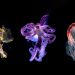 superradiance.emodyingearth