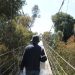 suspension bridge